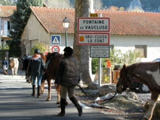 Fontaine de Vaucluse a cavalo 